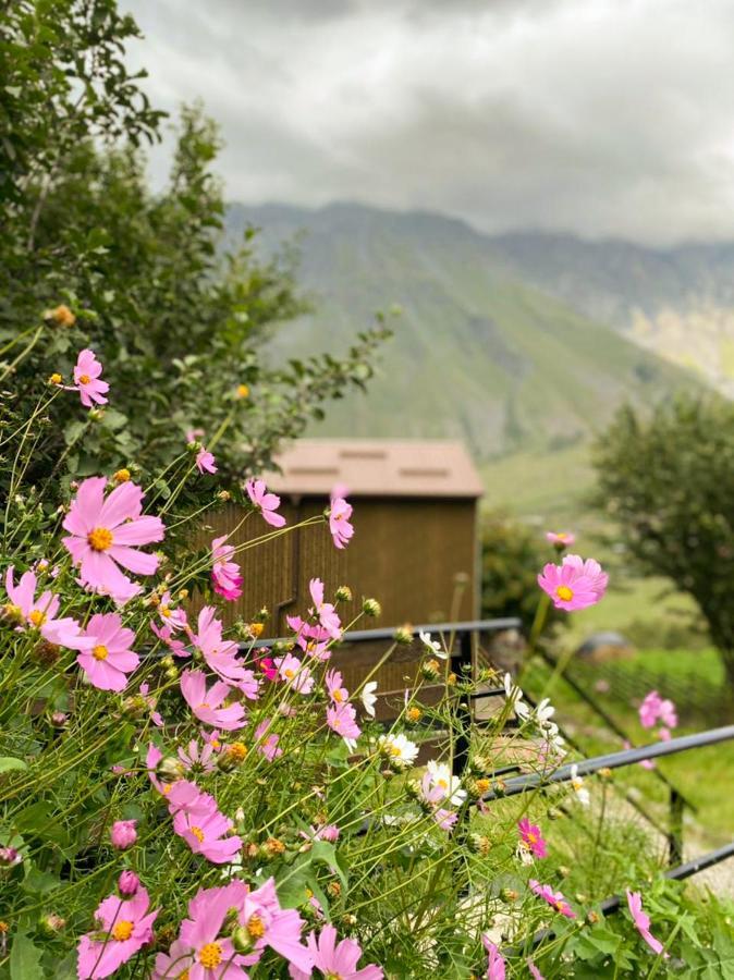 شقة My Space Kazbegi المظهر الخارجي الصورة